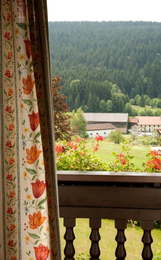 Landhotel Bayerwald Grafling Phòng bức ảnh